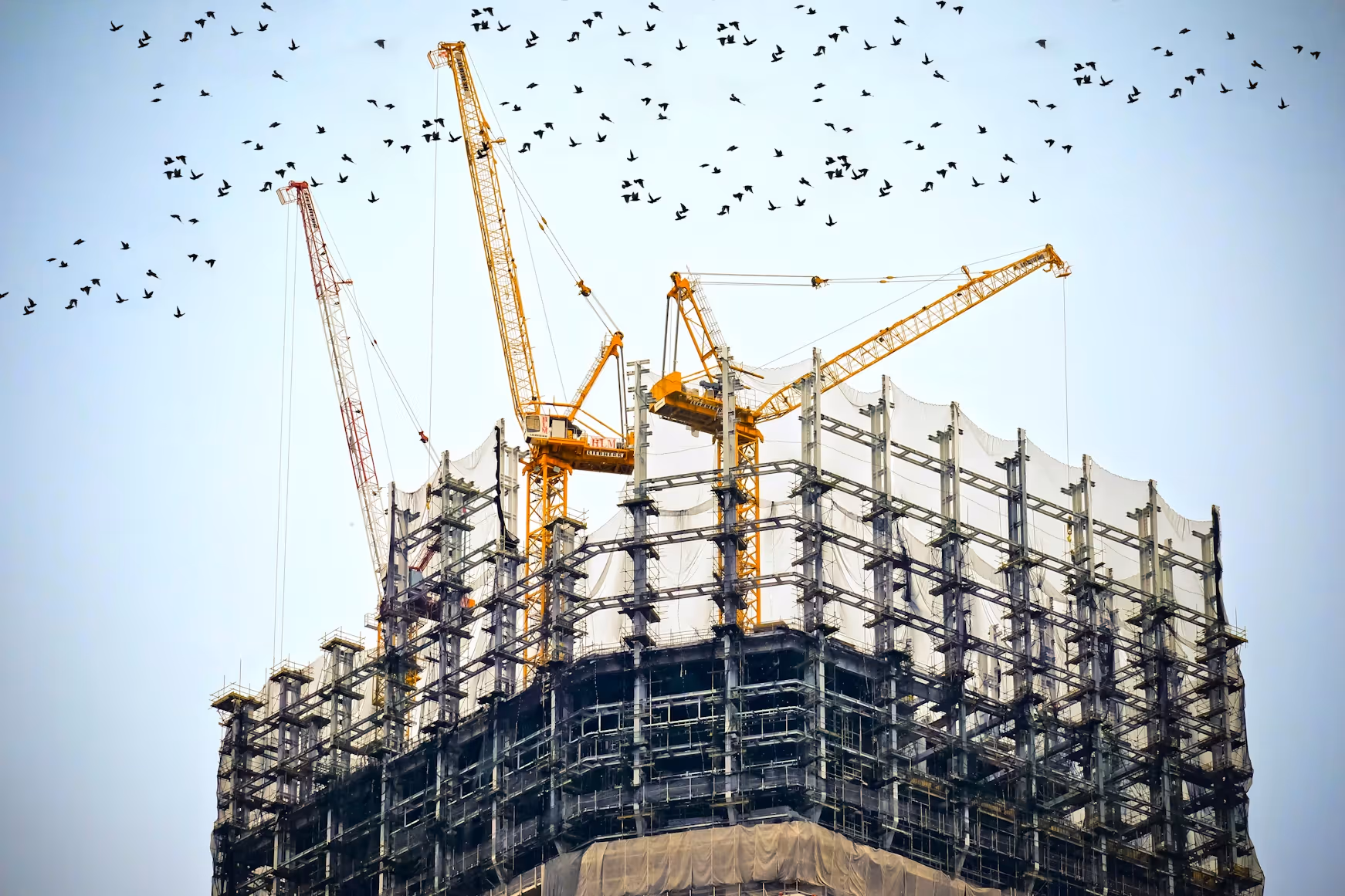 3. Pre-Construction